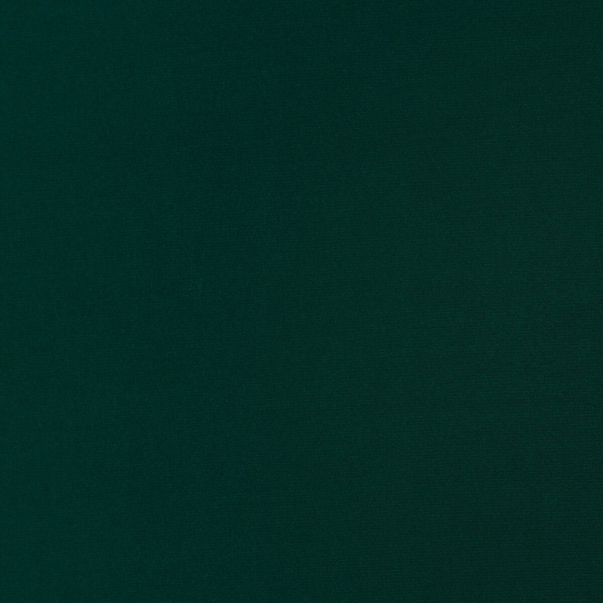 ITY - BOTTLE GREEN - Image 3