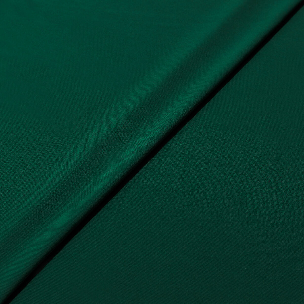 ITY - FOREST - Image 4