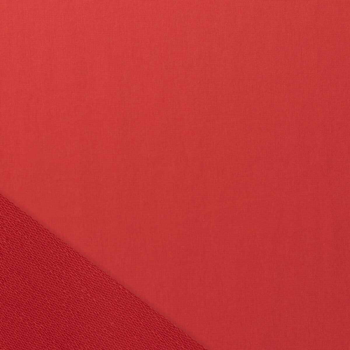 FRENCH TERRY - CORAL - Image 5