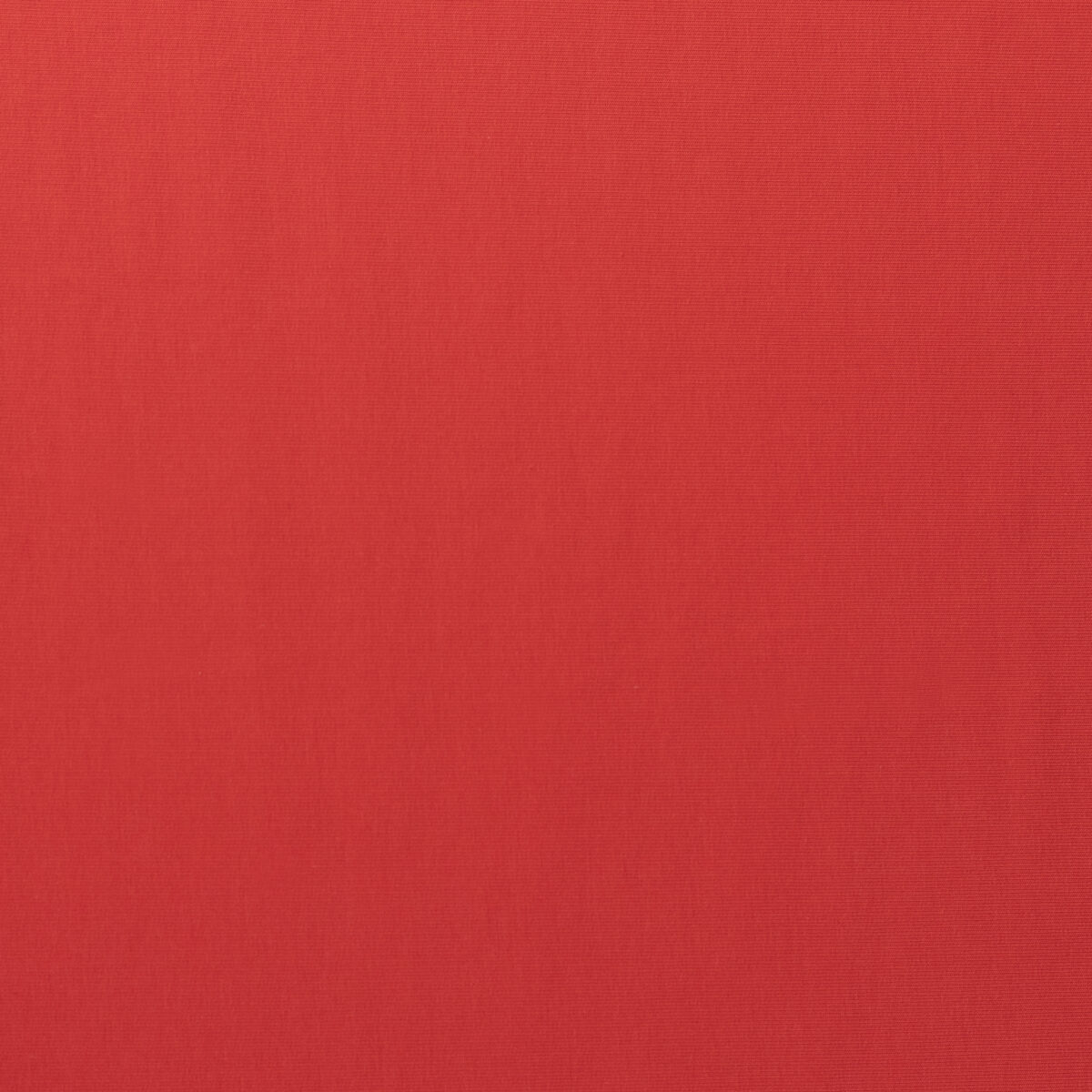 FRENCH TERRY - CORAL - Image 3
