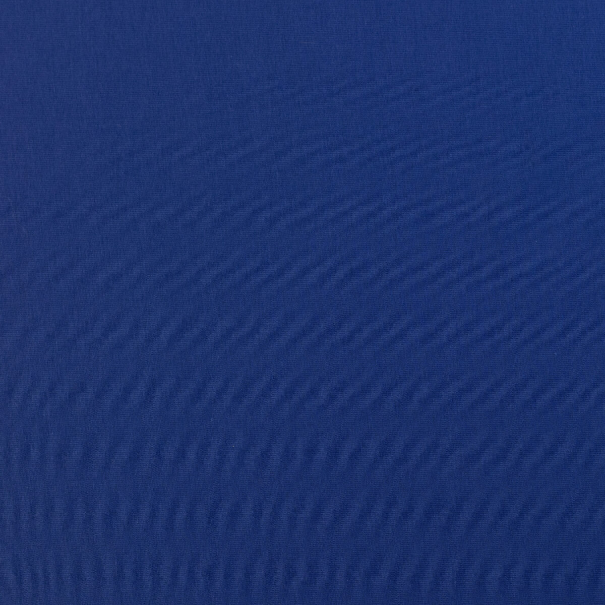 FRENCH TERRY - ROYAL BLUE - Image 3