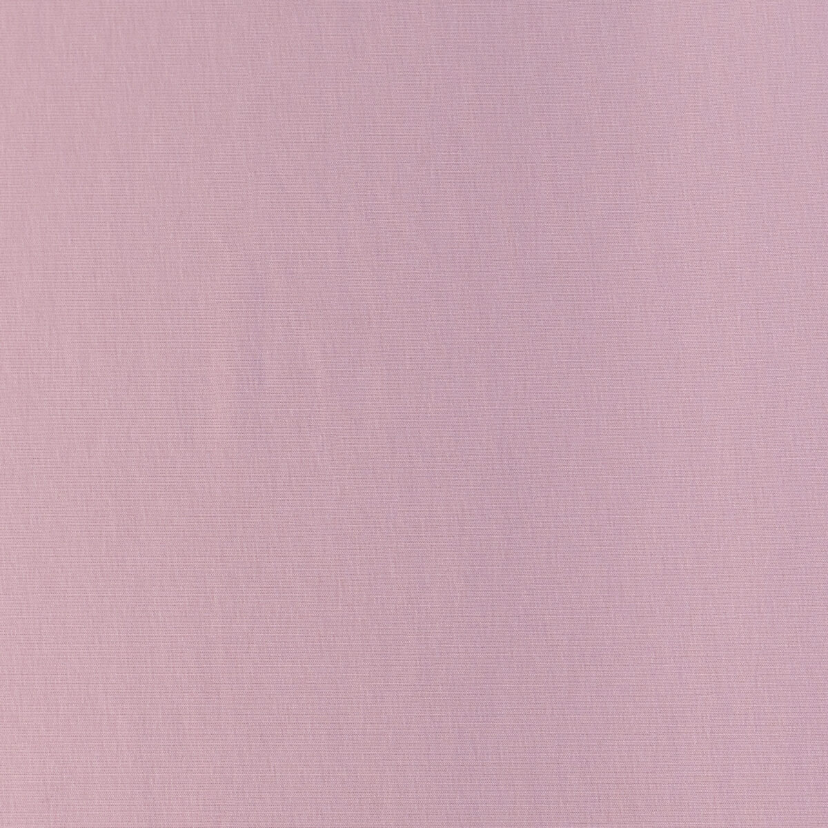 FRENCH TERRY - LIGHT PINK - Image 3
