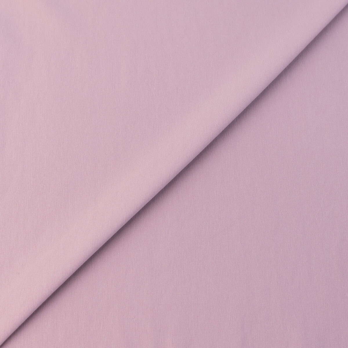 FRENCH TERRY - LIGHT PINK - Image 4