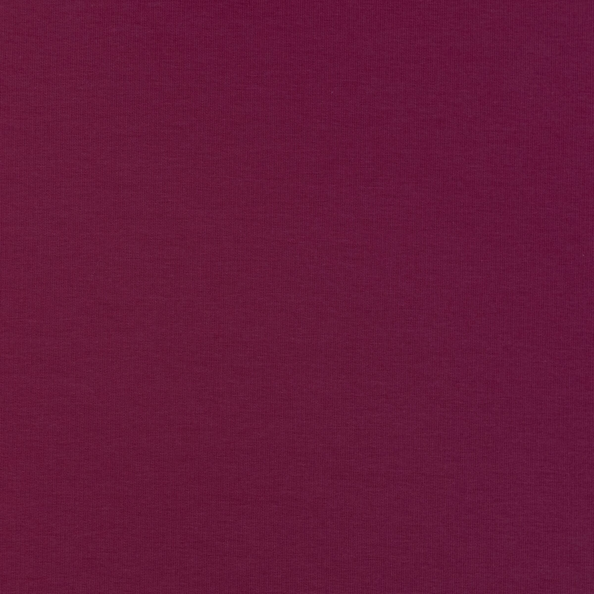 FRENCH TERRY - MAROON - Image 3