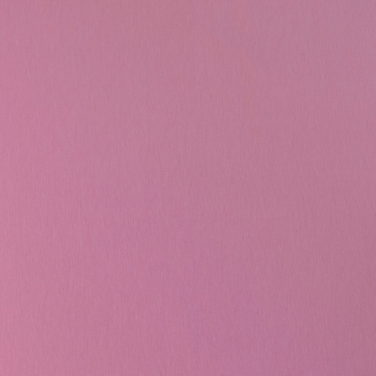 FRENCH TERRY - ROSE PINK - Image 3