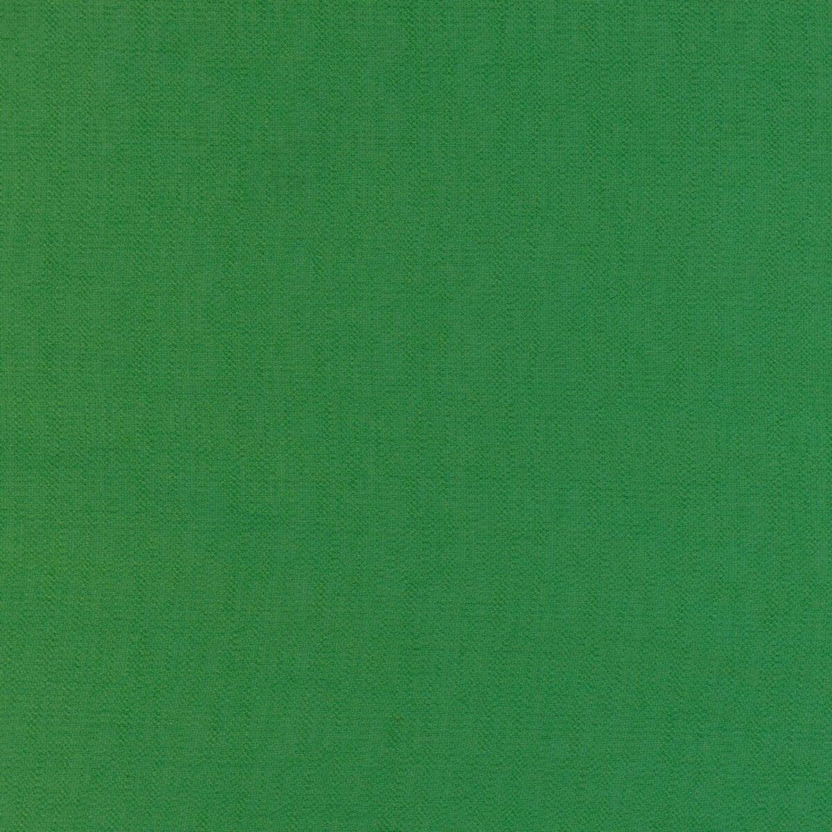 NYLON RAYON SALMA - LEAF GREEN - Image 3