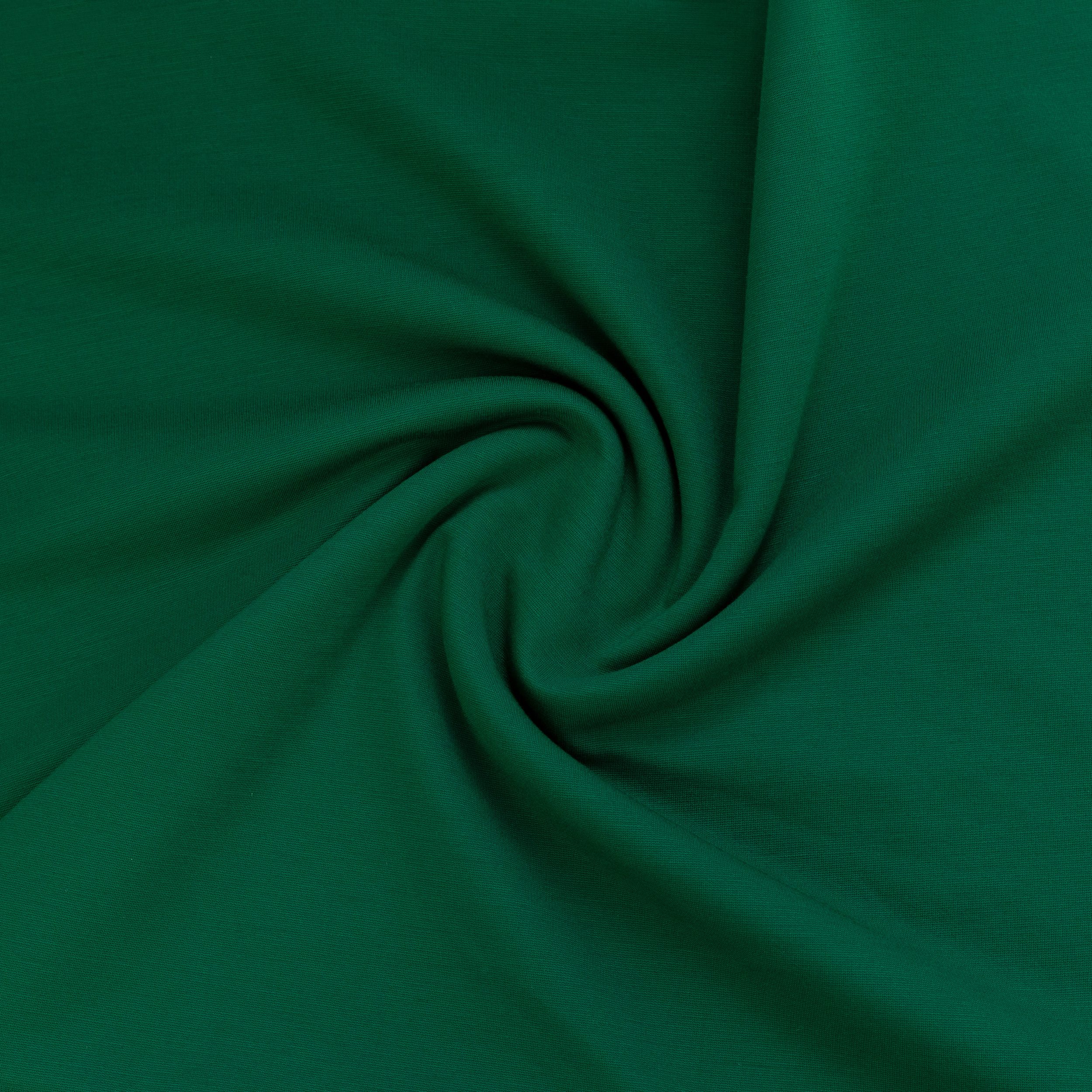 CLC-2530-19-TWIRL NYLON RAYON ROMA (TENCEL FINISH) - GREEN - Image 1
