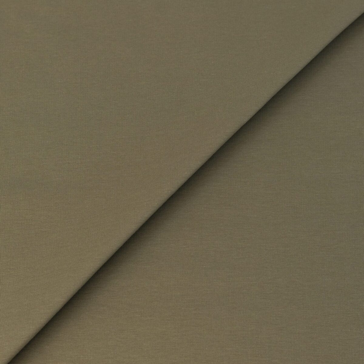 FRENCH TERRY - KHAKI - Image 4