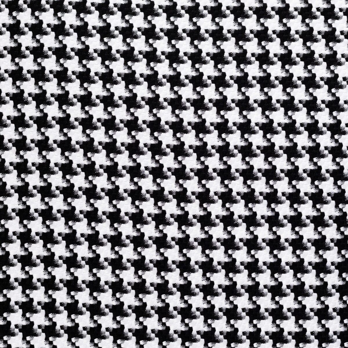 PERLA   - WHITE - Image 3