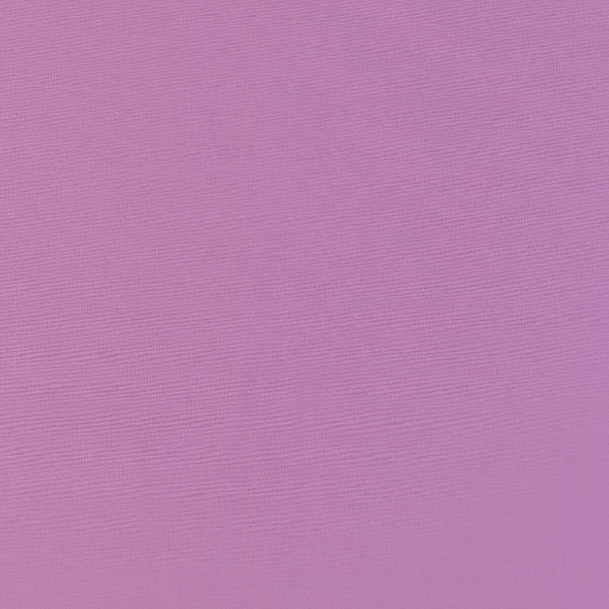 COTTON POPLIN - LIGHT PINK - Image 3