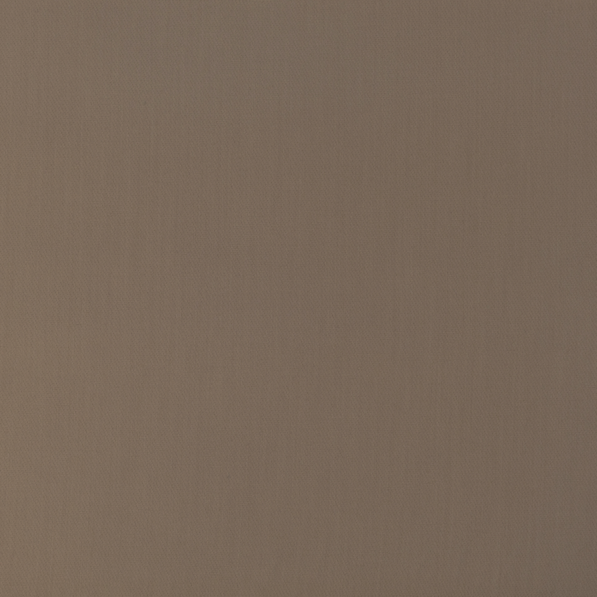BRUSELLS – BEIGE | Fashiontree