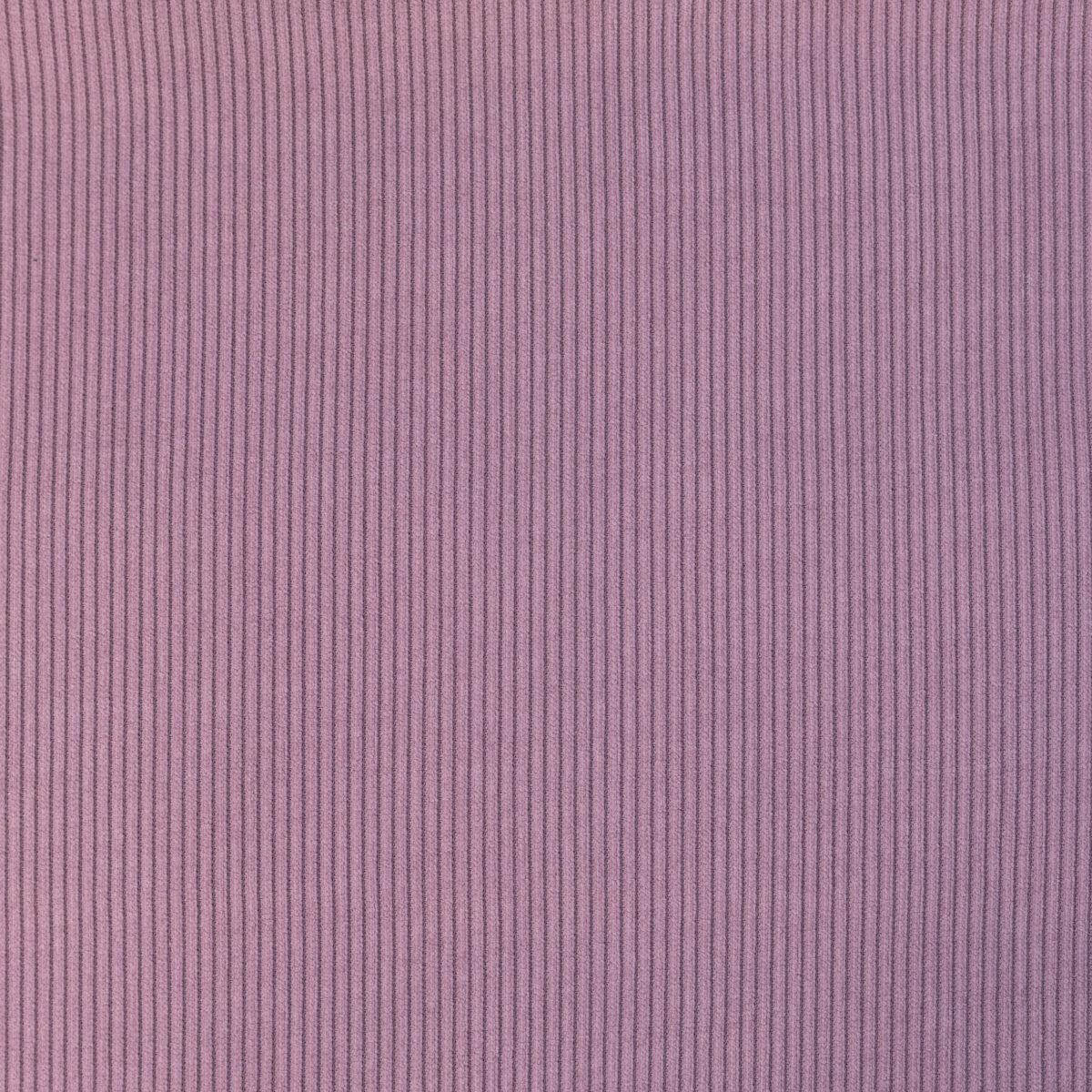 CORDUROY – PINK | Fashiontree