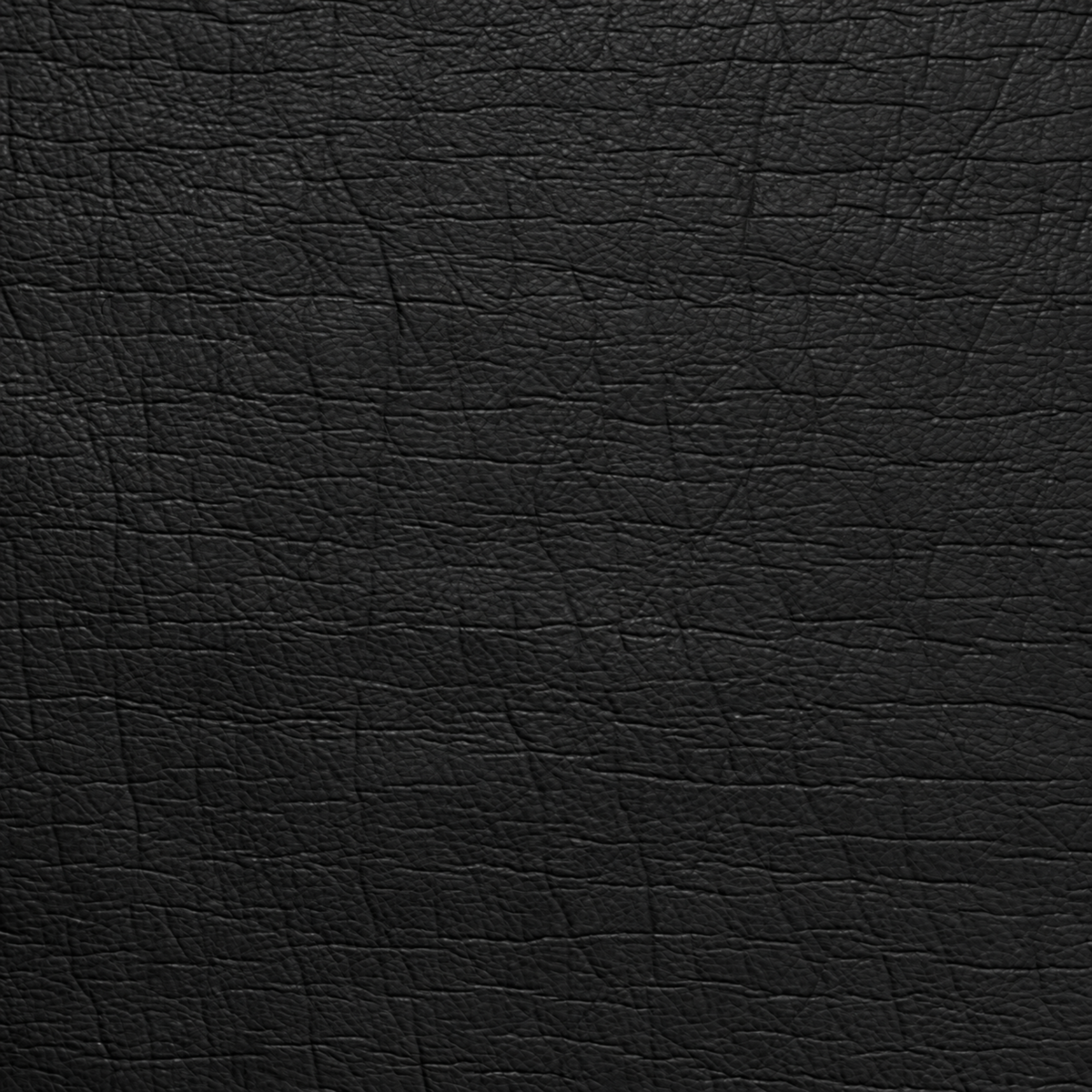 PU TEDDY BONDING   - BLACK - Image 3