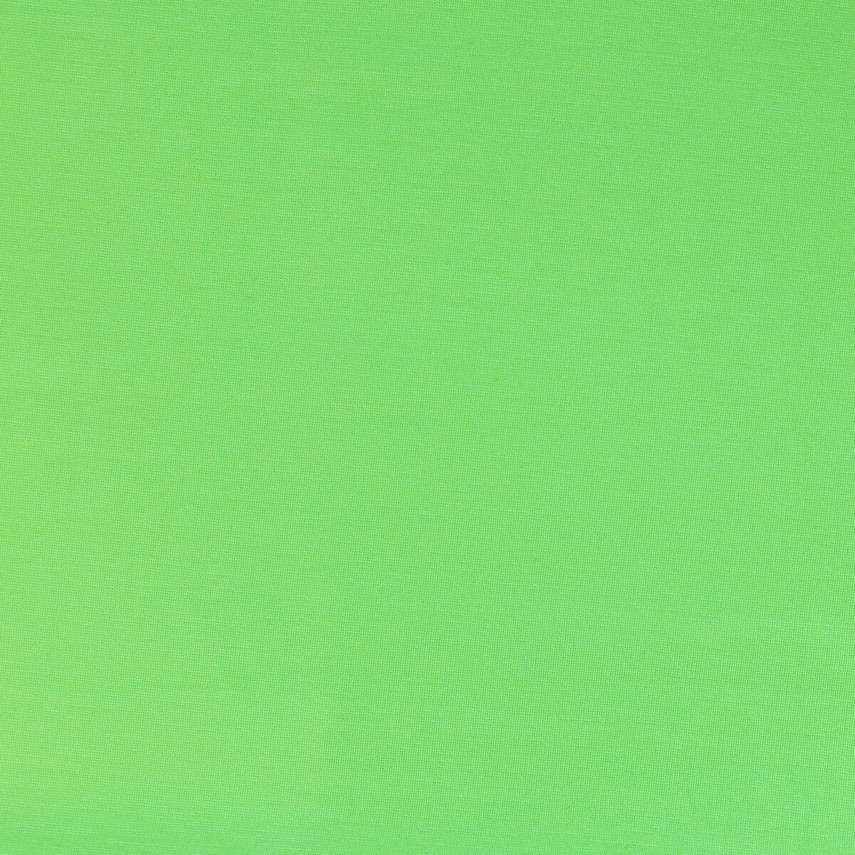 NYLON RAYON ROMA (TENCEL FINISH) - APPLE GREEN - Image 3