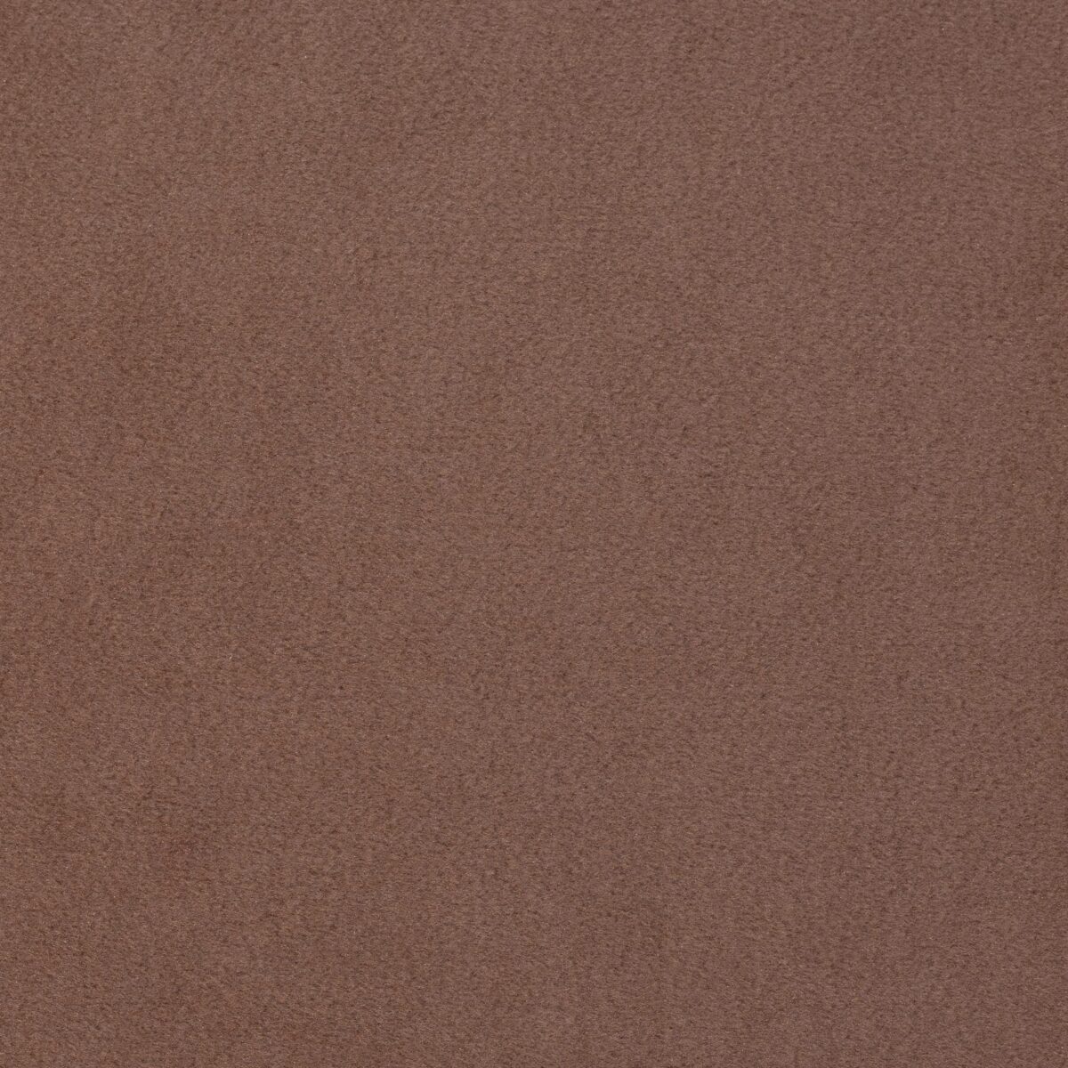 POLYESTER MICRO ALPACA - CAMEL - Image 3