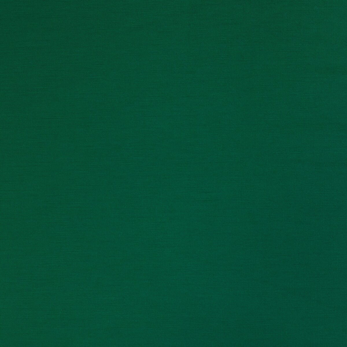 NYLON RAYON ROMA (TENCEL FINISH) - GREEN - Image 3