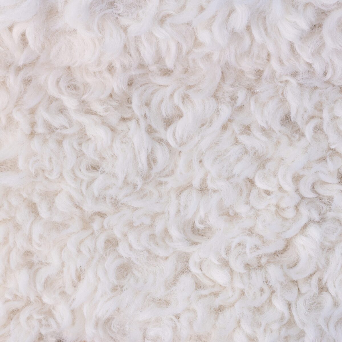 FAUX FUR - CREAM - Image 3