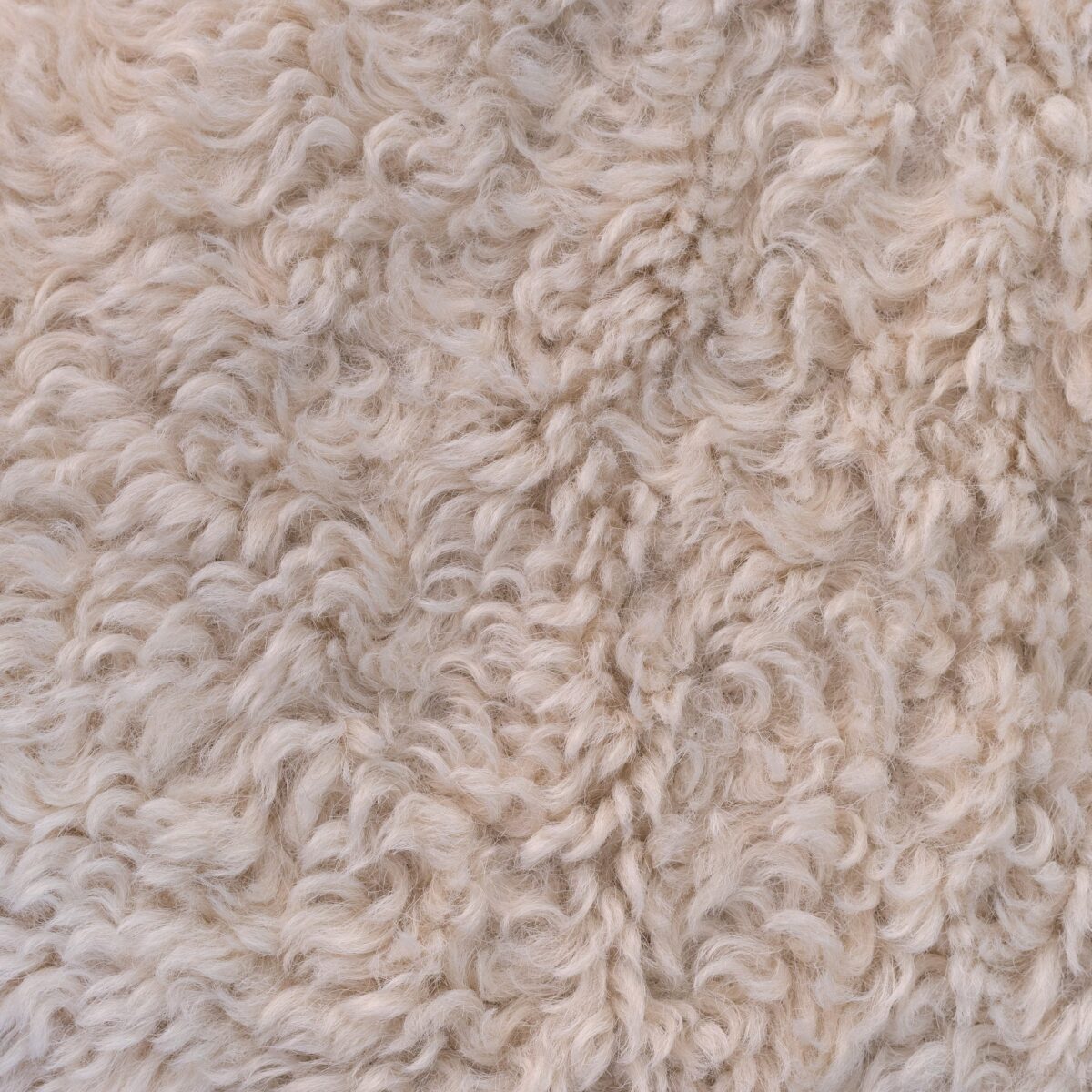 FAUX FUR - BEIGE - Image 3