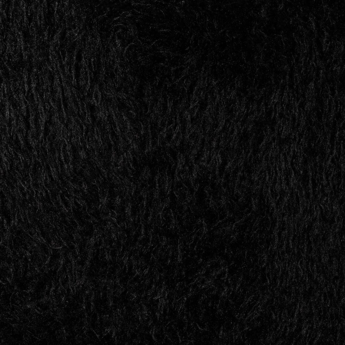 FAUX FUR - BLACK - Image 3