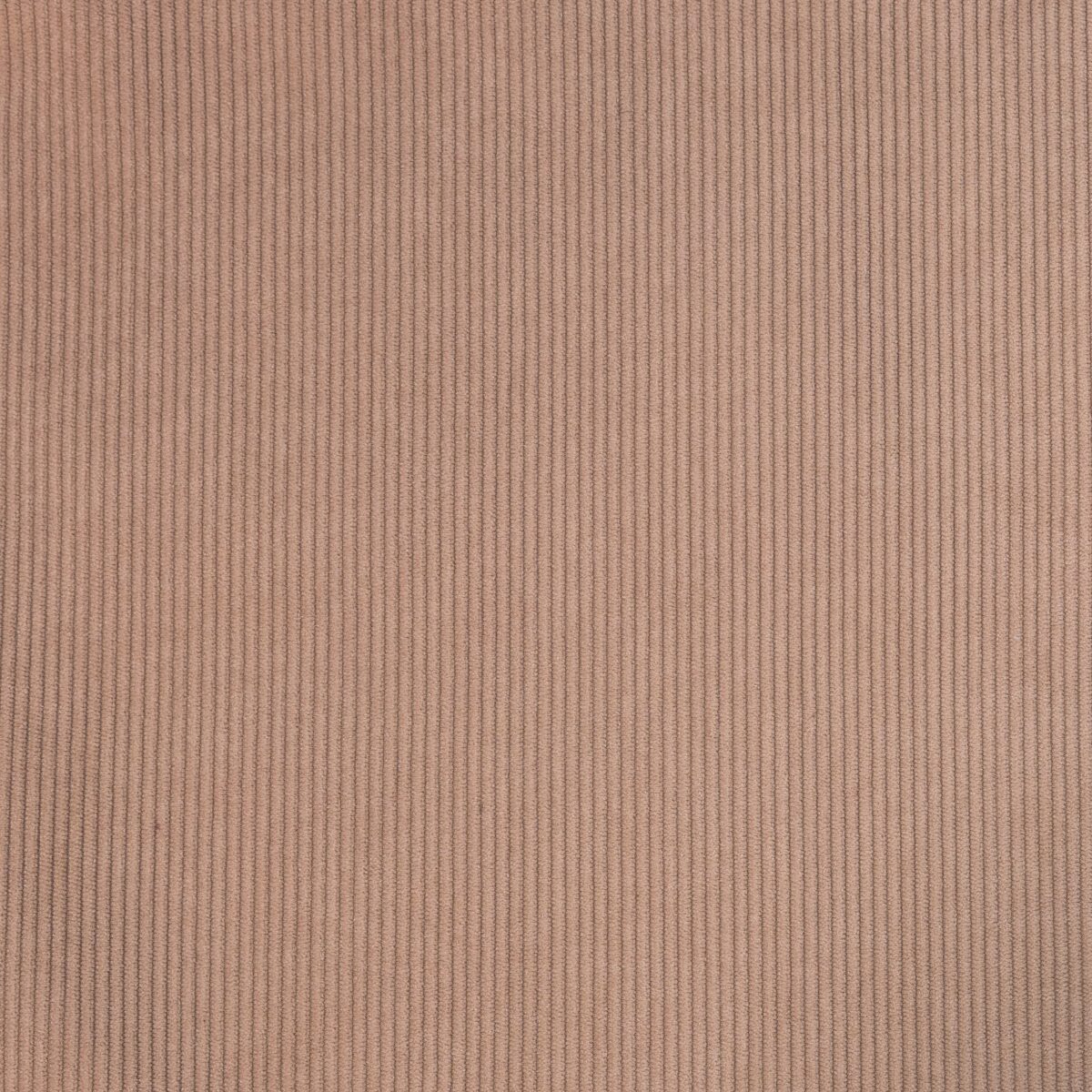 POLYESTER SHERPA CORDUROY - CAMEL - Image 3