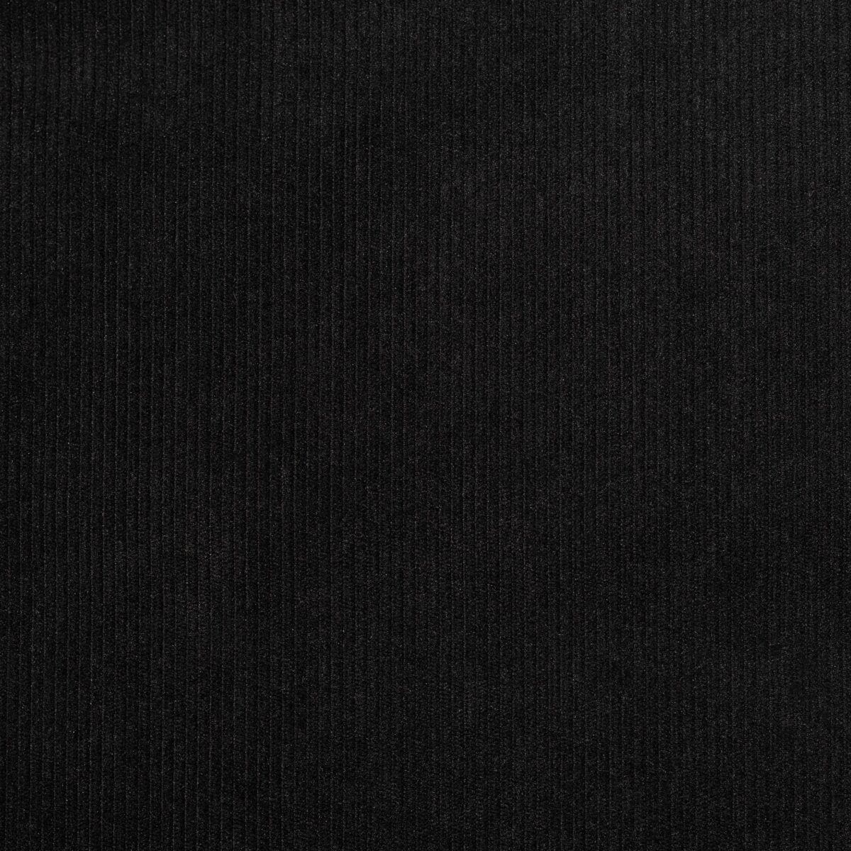POLYESTER SHERPA CORDUROY - BLACK - Image 3