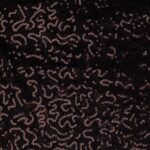 MESH EMBROIDERY WITH SEQUINS - BROWN - Image 2