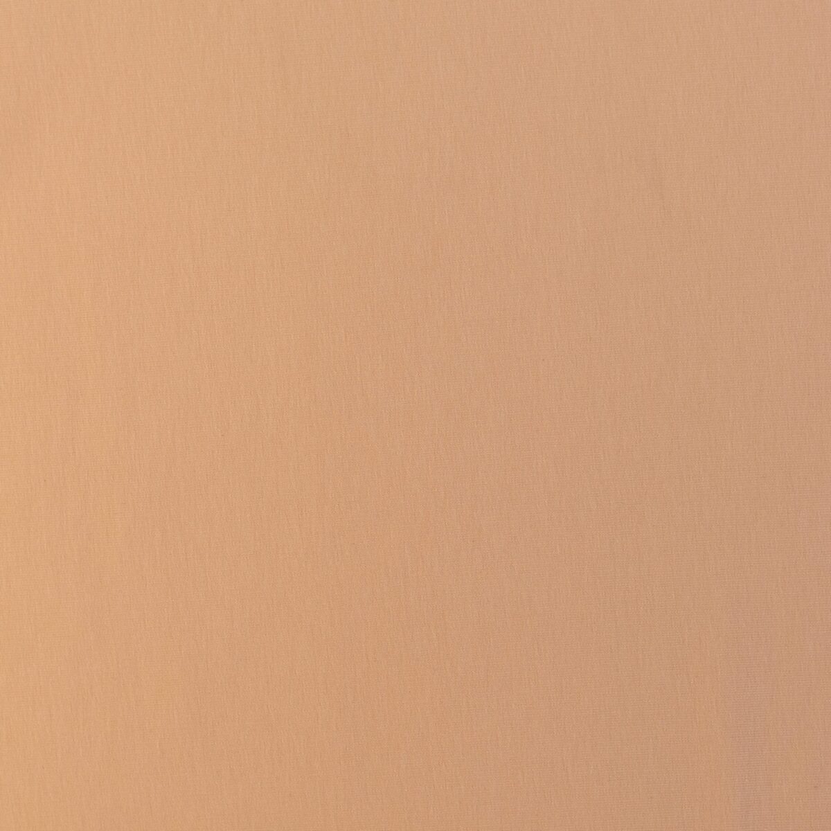 FRENCH TERRY - CAMEL - Image 3
