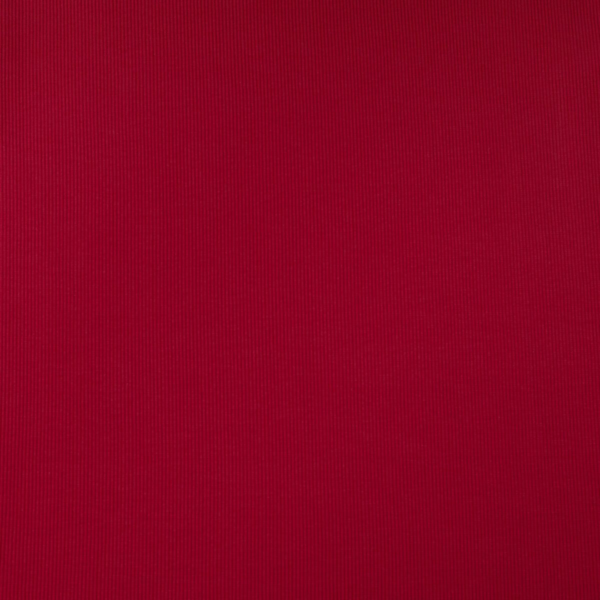 COTTON RIB - RED - Image 3