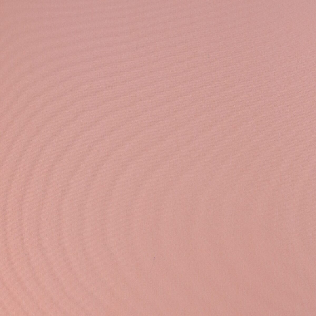 FRENCH TERRY - APRICOT - Image 3