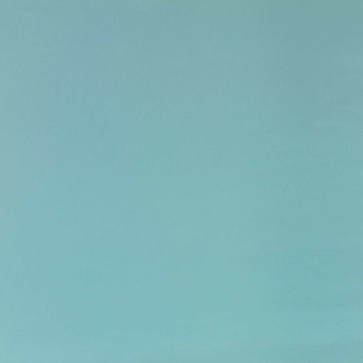 COTTON POPLIN - AQUA - Image 3
