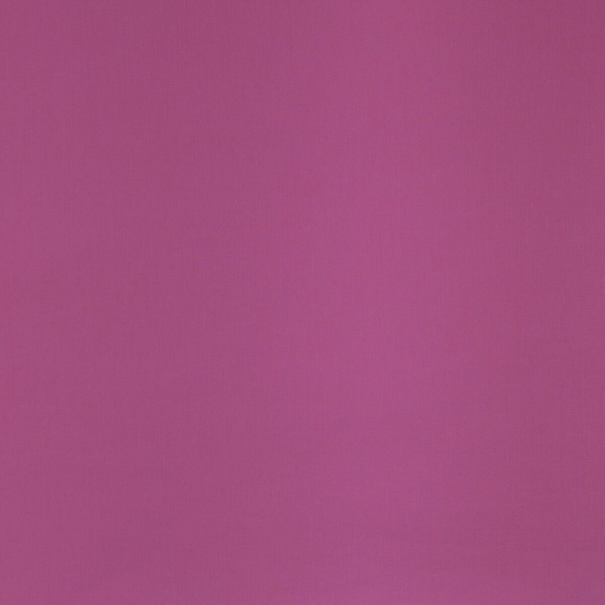 COTTON POPLIN - LILA - Image 3