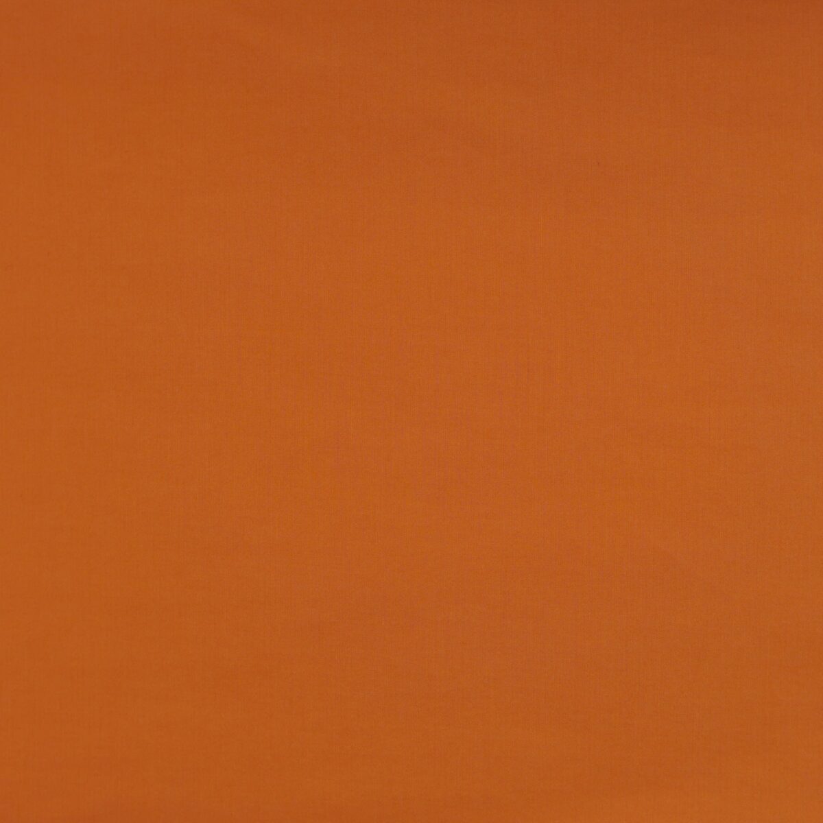 COTTON POPLIN - ORANGE - Image 3