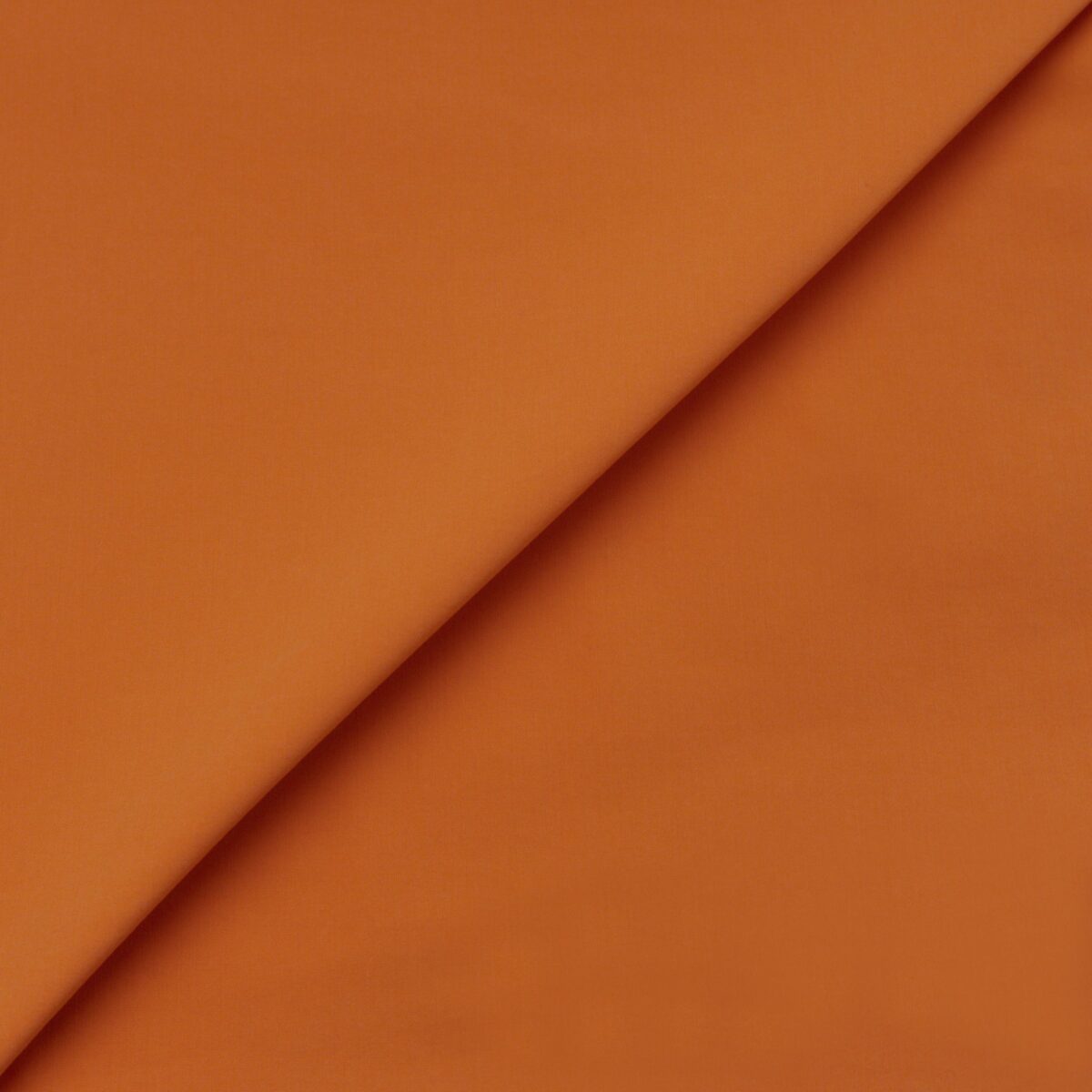 COTTON POPLIN - ORANGE - Image 4