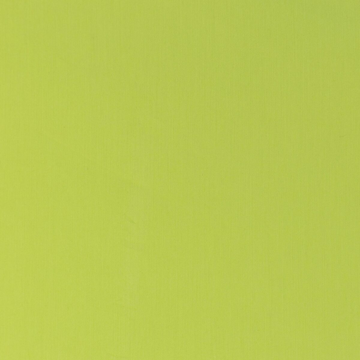 COTTON POPLIN - YELLOW - Image 3