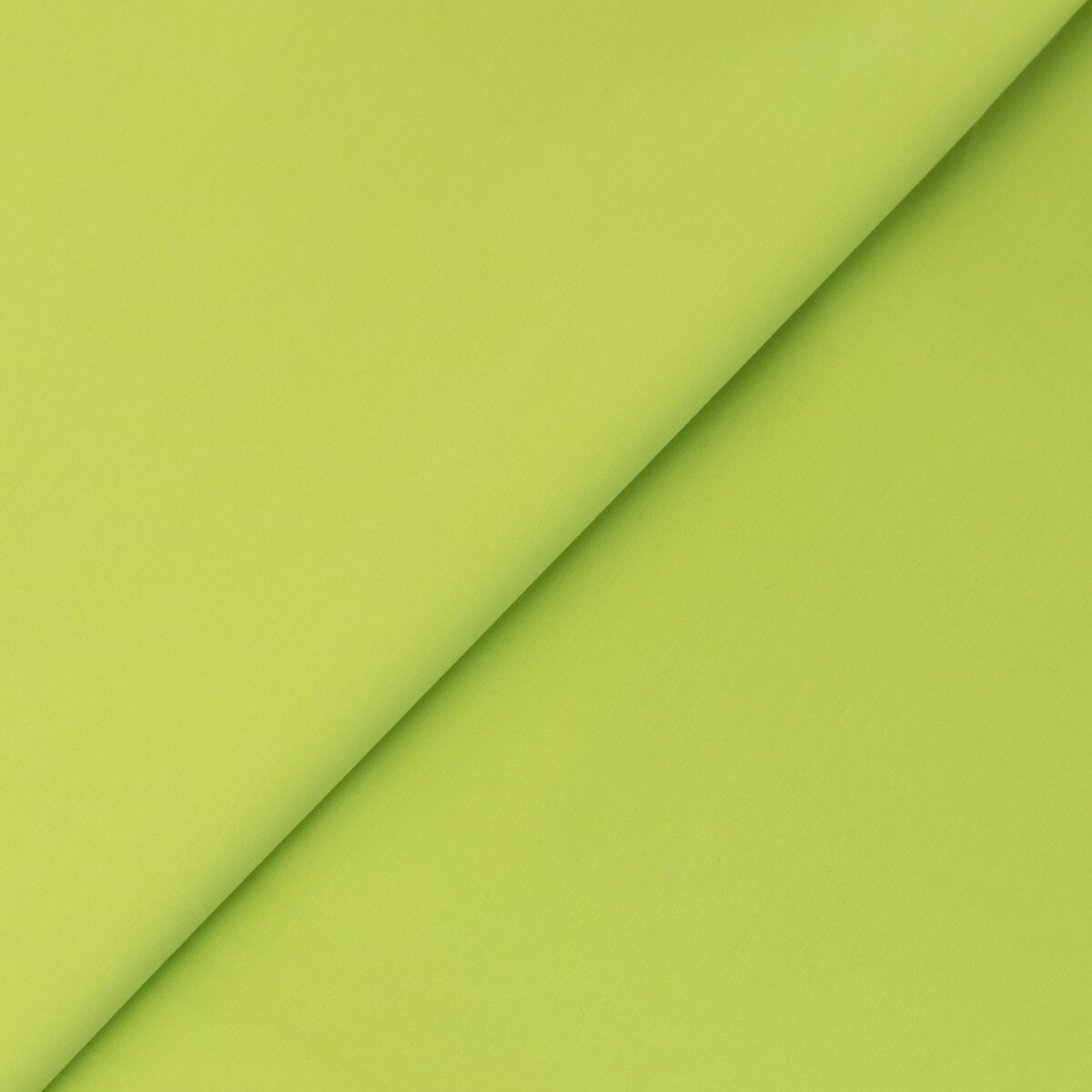 COTTON POPLIN - YELLOW - Image 4