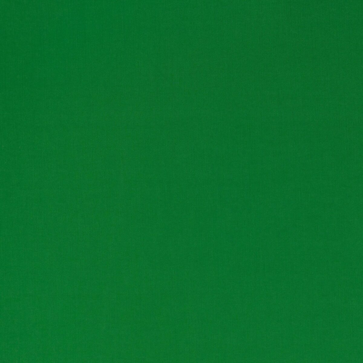 COTTON POPLIN - GREEN - Image 3