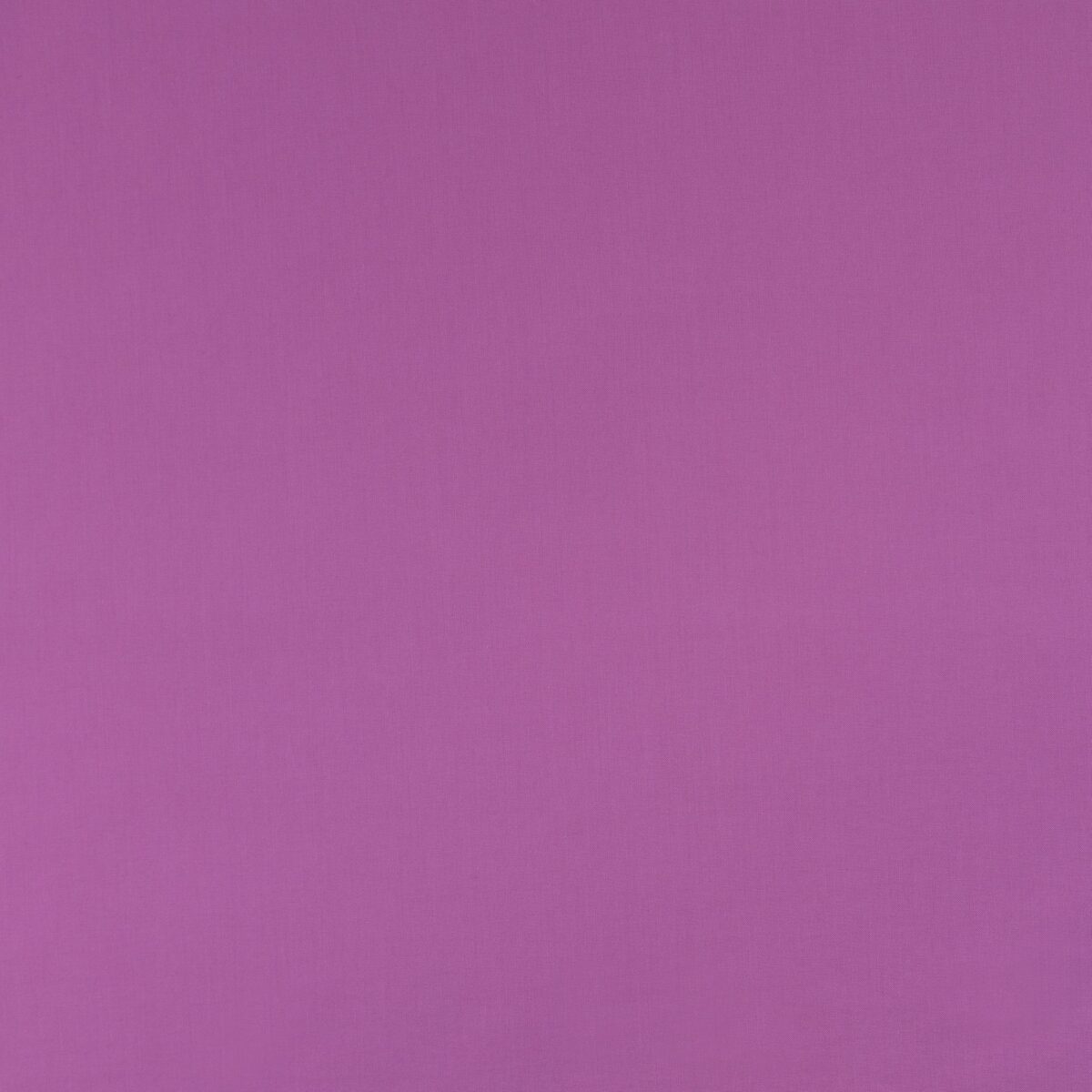 COTTON POPLIN - PINK - Image 3
