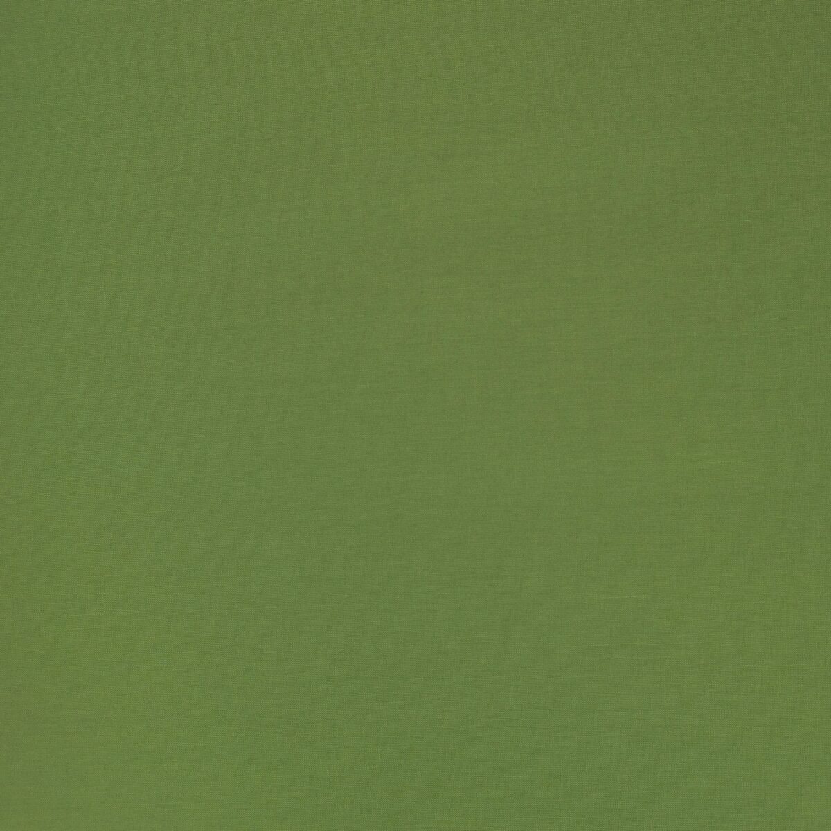 COTTON POPLIN - LIGHT GREEN - Image 3