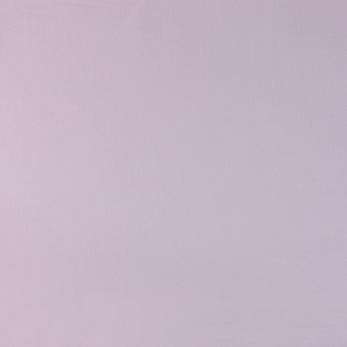COTTON POPLIN - PEARL PINK - Image 3