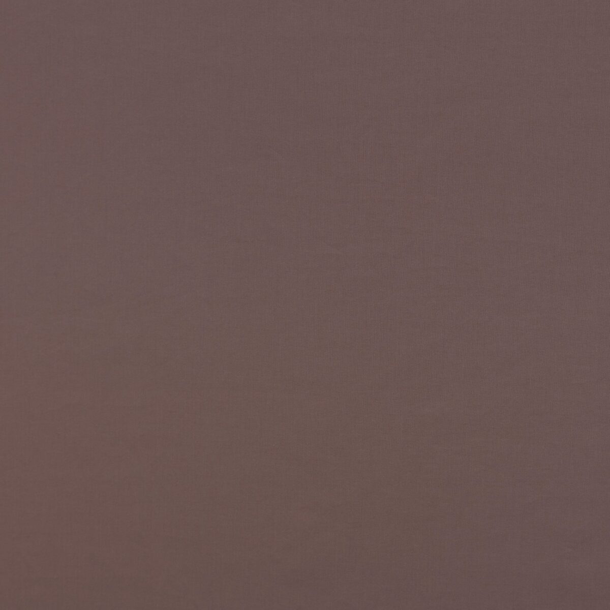 COTTON POPLIN - MOCHA - Image 3