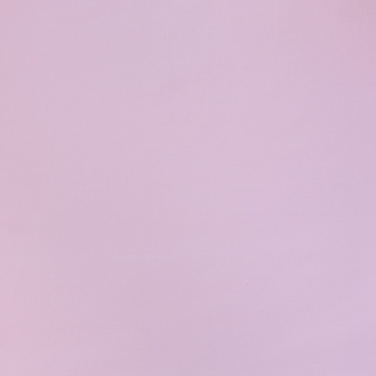 COTTON POPLIN - NUDE - Image 3