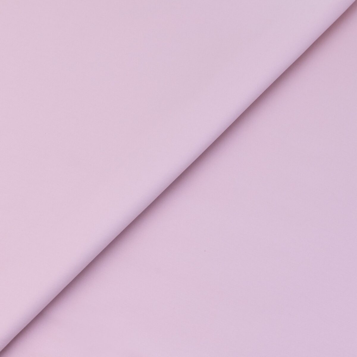COTTON POPLIN - NUDE - Image 4