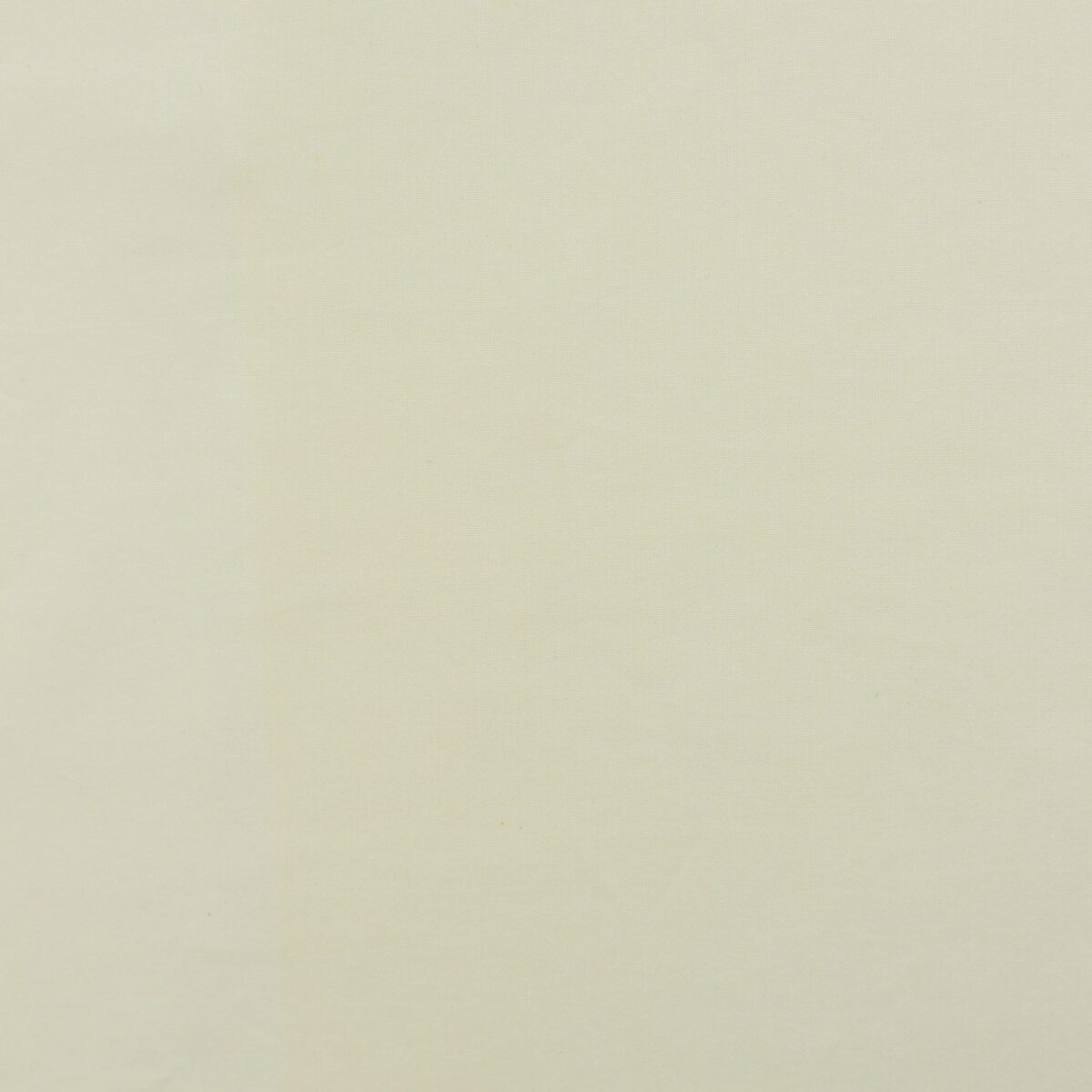 COTTON POPLIN - LEMON - Image 3