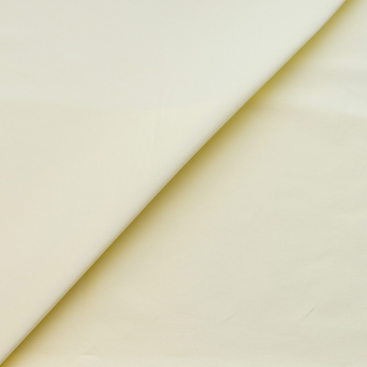 COTTON POPLIN - LEMON - Image 4