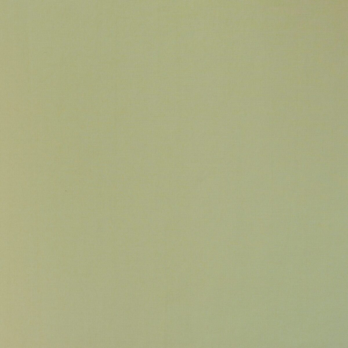 COTTON POPLIN - MUSTARD - Image 3