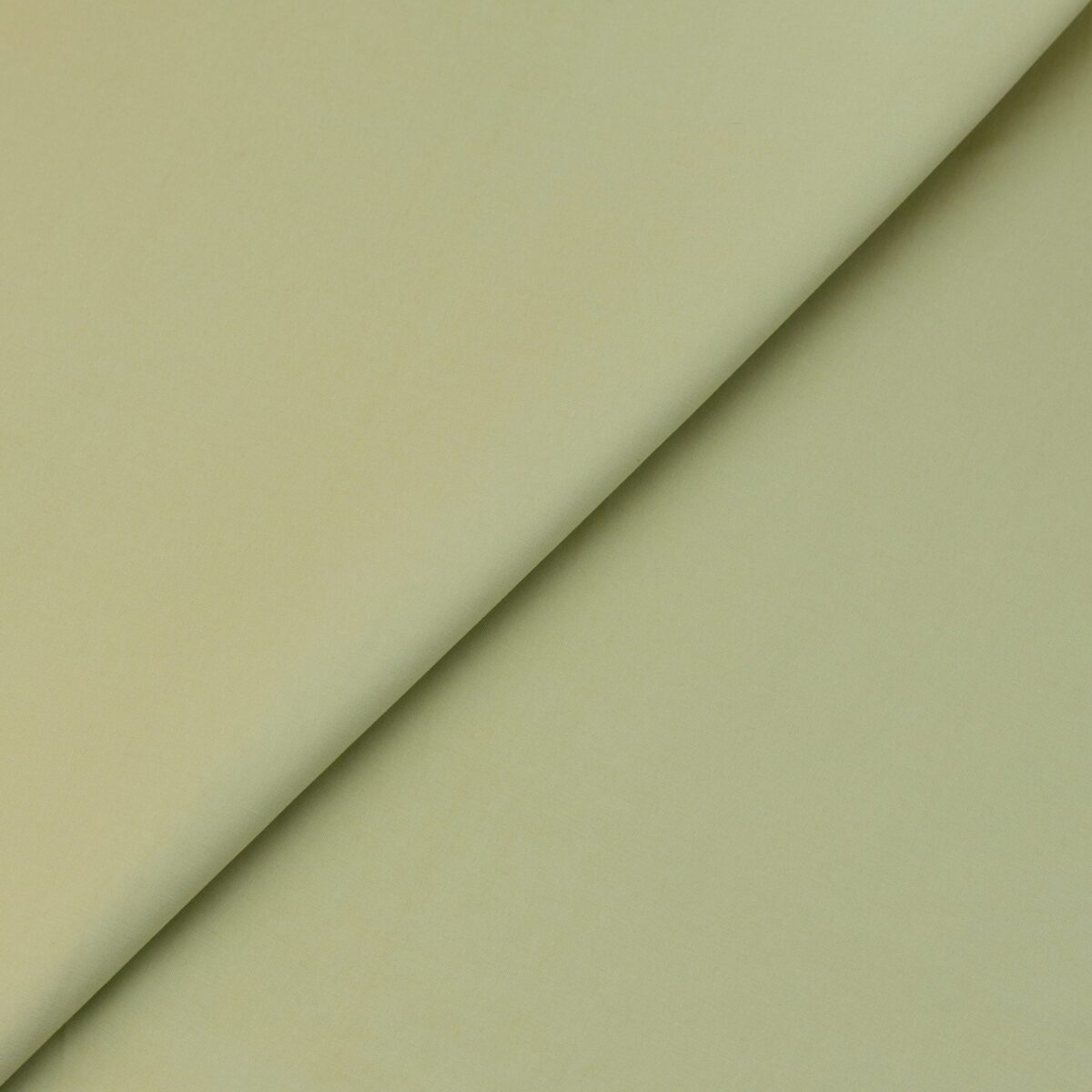 COTTON POPLIN - MUSTARD - Image 4