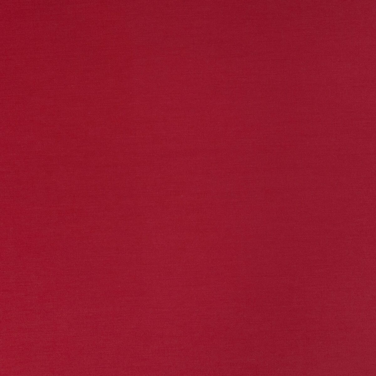 COTTON POPLIN - RED - Image 3