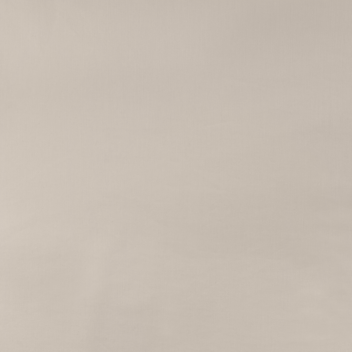 COTTON POPLIN - OFF WHITE - Image 3