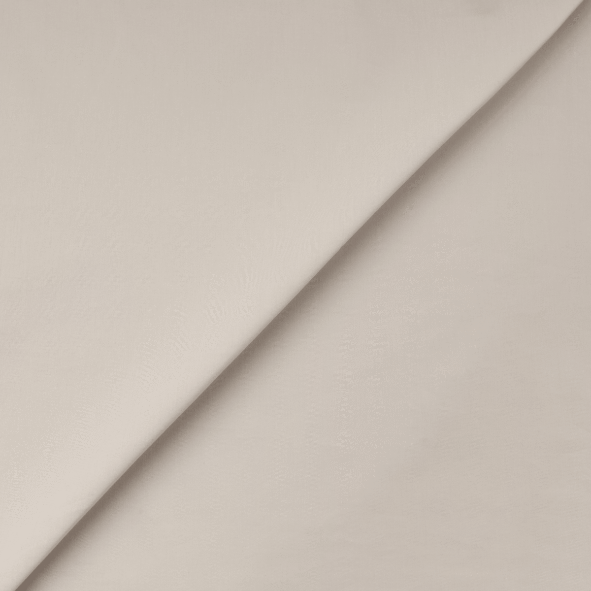 COTTON POPLIN - OFF WHITE - Image 4